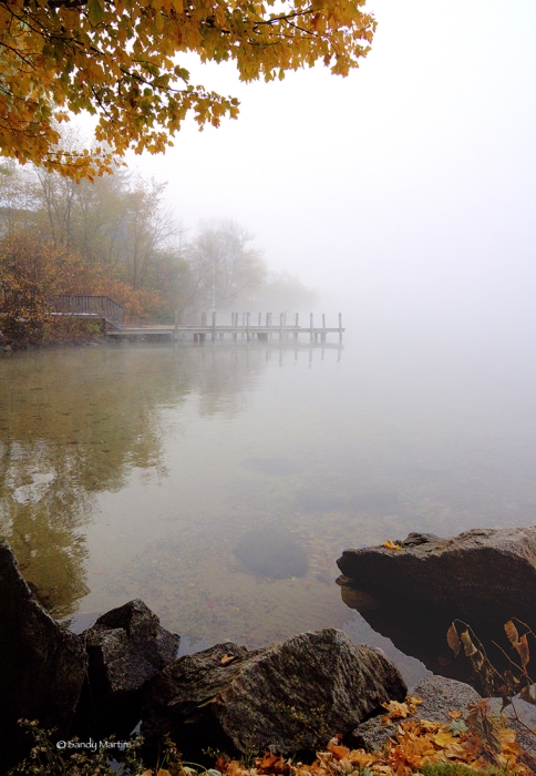 Fall Mist